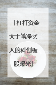 杠杆资金大手笔净买入的科创板股曝光