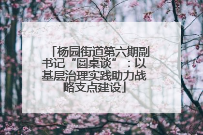 杨园街道第六期副书记“圆桌谈”：以基层治理实践助力战略支点建设