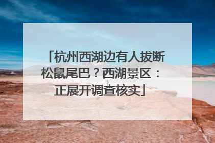 杭州西湖边有人拔断松鼠尾巴？西湖景区：正展开调查核实