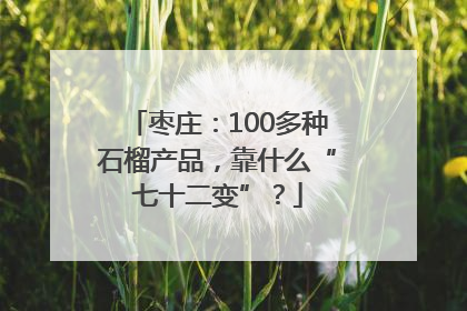 枣庄：100多种石榴产品，靠什么“七十二变”？