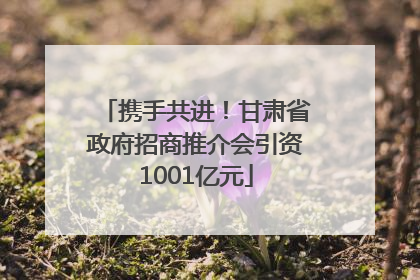 携手共进！甘肃省政府招商推介会引资1001亿元