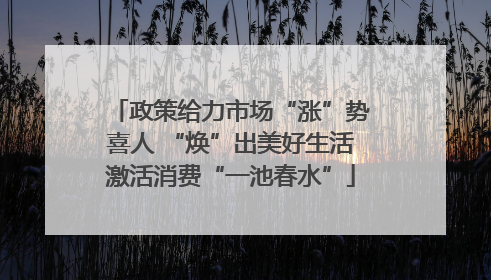 政策给力市场“涨”势喜人 “焕”出美好生活激活消费“一池春水”