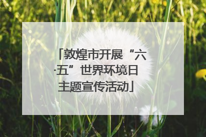 敦煌市开展“六·五”世界环境日主题宣传活动