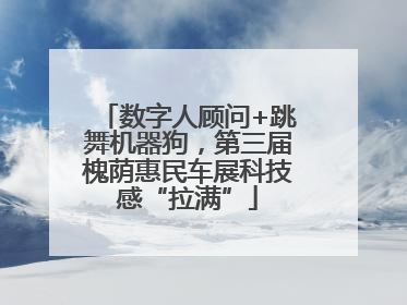 数字人顾问+跳舞机器狗，第三届槐荫惠民车展科技感“拉满”