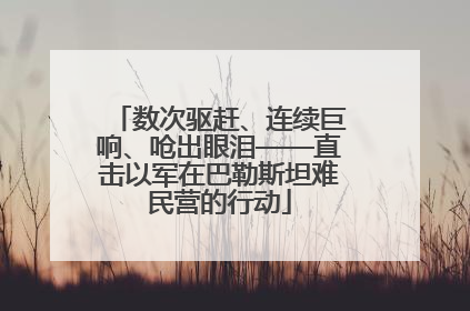 数次驱赶、连续巨响、呛出眼泪——直击以军在巴勒斯坦难民营的行动