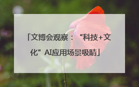 文博会观察：“科技+文化”AI应用场景吸睛