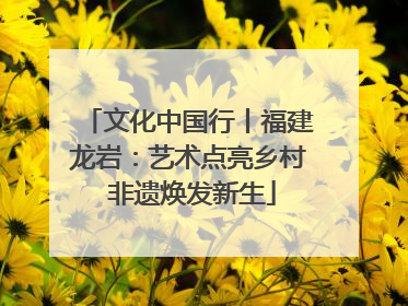 文化中国行丨福建龙岩：艺术点亮乡村 非遗焕发新生