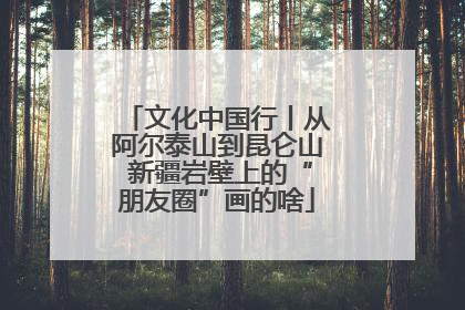 文化中国行丨从阿尔泰山到昆仑山 新疆岩壁上的“朋友圈”画的啥