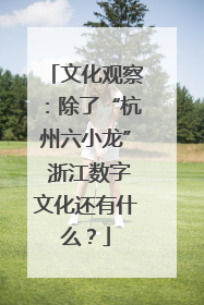 文化观察：除了“杭州六小龙” 浙江数字文化还有什么？