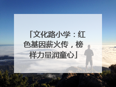 文化路小学：红色基因薪火传，榜样力量润童心