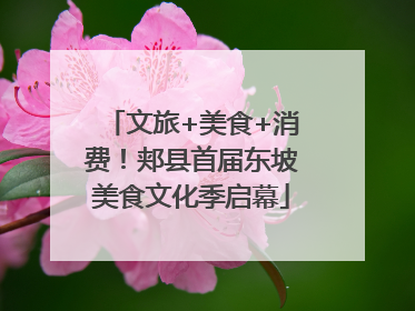 文旅+美食+消费！郏县首届东坡美食文化季启幕
