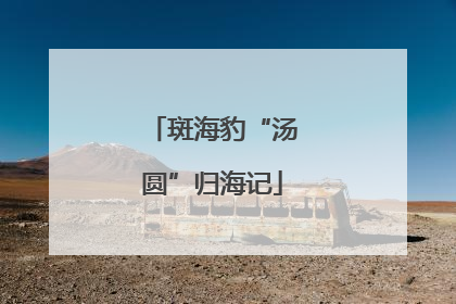 斑海豹“汤圆”归海记