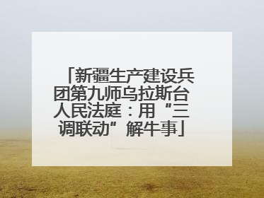 新疆生产建设兵团第九师乌拉斯台人民法庭：用“三调联动”解牛事