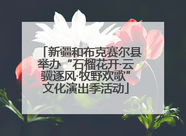 新疆和布克赛尔县举办“石榴花开·云骥逐风·牧野欢歌”文化演出季活动