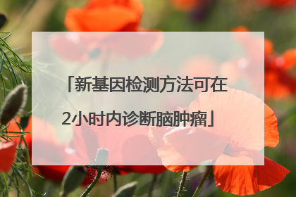 新基因检测方法可在2小时内诊断脑肿瘤