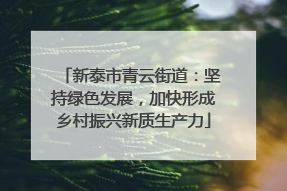 新泰市青云街道：坚持绿色发展，加快形成乡村振兴新质生产力