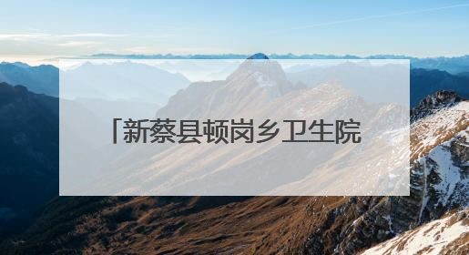 新蔡县顿岗乡卫生院开展“浓情端午节 情暖患者心”活动