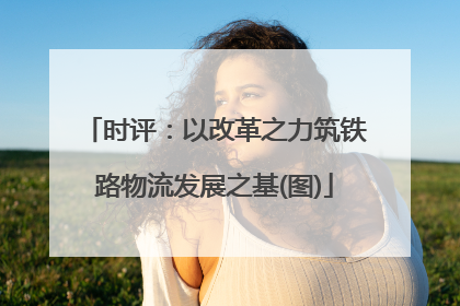 时评：以改革之力筑铁路物流发展之基(图)