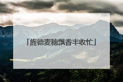 旌德麦穗飘香丰收忙