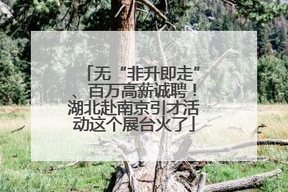 无“非升即走”、百万高薪诚聘！湖北赴南京引才活动这个展台火了