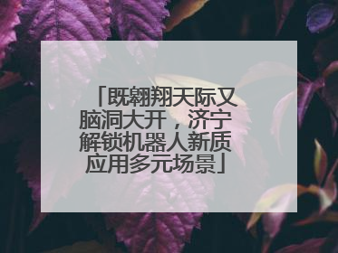 既翱翔天际又脑洞大开，济宁解锁机器人新质应用多元场景