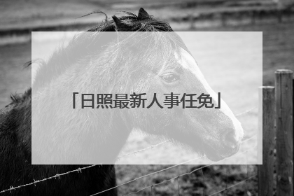 日照最新人事任免