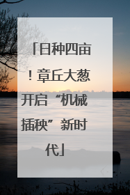 日种四亩！章丘大葱开启“机械插秧”新时代