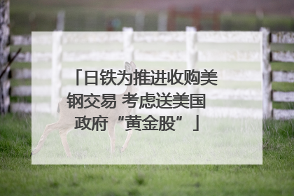 日铁为推进收购美钢交易 考虑送美国政府“黄金股”