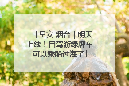 早安 烟台｜明天上线！自驾游绿牌车可以乘船过海了