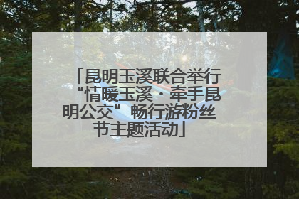 昆明玉溪联合举行“情暖玉溪・牵手昆明公交”畅行游粉丝节主题活动