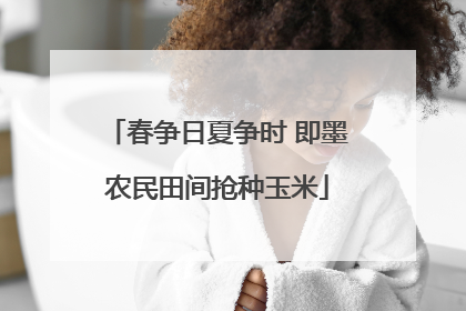 春争日夏争时 即墨农民田间抢种玉米