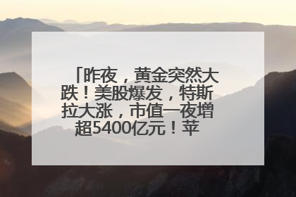 昨夜，黄金突然大跌！美股爆发，特斯拉大涨，市值一夜增超5400亿元！苹果传来大消息