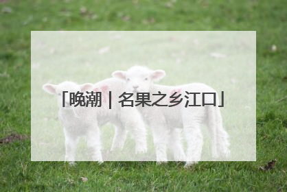 晚潮｜名果之乡江口