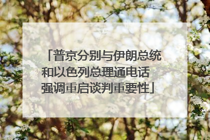 普京分别与伊朗总统和以色列总理通电话 强调重启谈判重要性