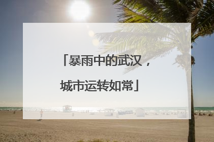 暴雨中的武汉，城市运转如常