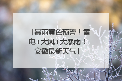 暴雨黄色预警！雷电+大风+大暴雨！安徽最新天气