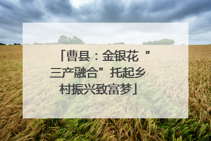 曹县：金银花“三产融合”托起乡村振兴致富梦