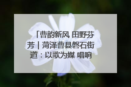 曹韵新风 田野芬芳｜菏泽曹县磐石街道：以歌为媒 唱响乡土“新歌声”