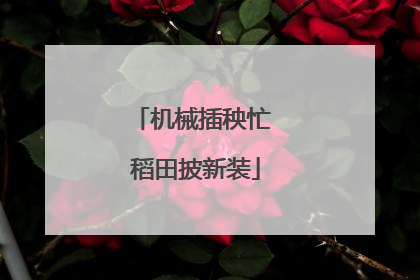 机械插秧忙 稻田披新装