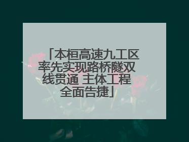 本桓高速九工区率先实现路桥隧双线贯通 主体工程全面告捷