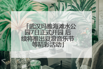 武汉玛雅海滩水公园7日正式开园 后续将推出夏浪音乐节等精彩活动