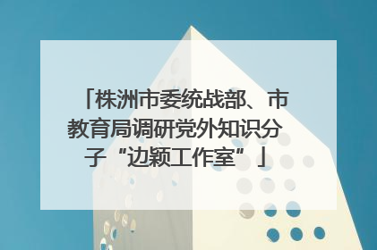 株洲市委统战部、市教育局调研党外知识分子“边颖工作室”