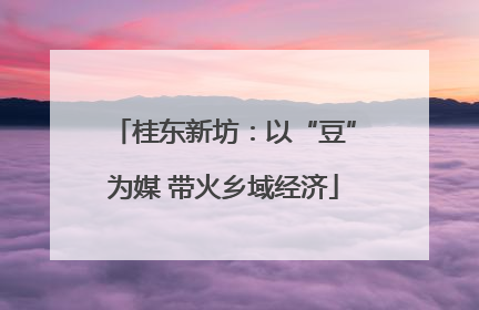 桂东新坊：以“豆”为媒 带火乡域经济