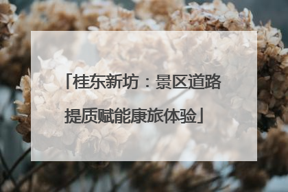 桂东新坊：景区道路提质赋能康旅体验