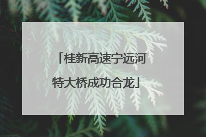 桂新高速宁远河特大桥成功合龙