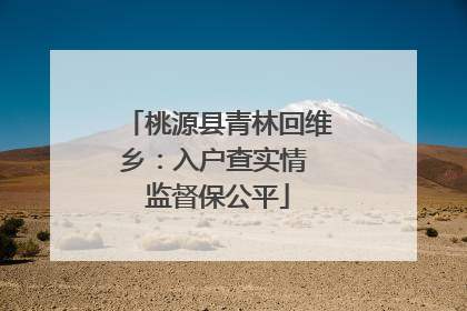 桃源县青林回维乡：入户查实情 监督保公平