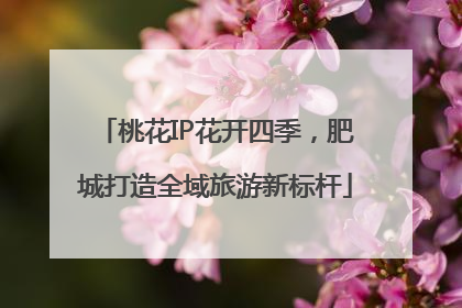 桃花IP花开四季，肥城打造全域旅游新标杆