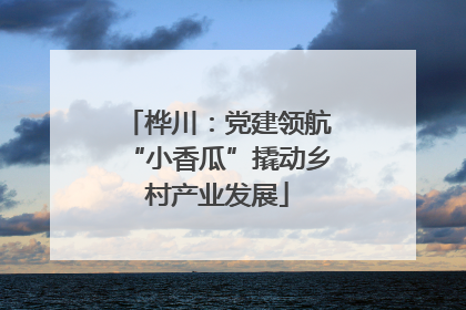 桦川：党建领航“小香瓜”撬动乡村产业发展
