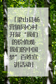 梁山县杨营镇同心村开展“我们的价值观·我们的中国梦”百姓宣讲活动