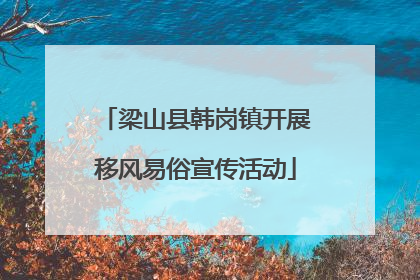 梁山县韩岗镇开展移风易俗宣传活动